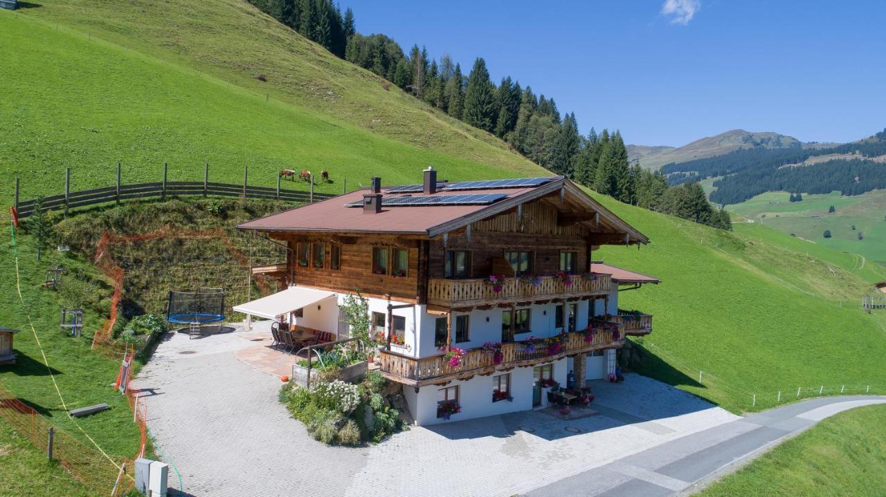شقة سالباخ هينترغليم  في Landhaus Hinterglemm المظهر الخارجي الصورة